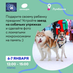 Фотография  для Зимандра