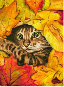 Коты