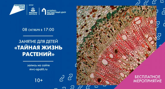 Тайная жизнь растений