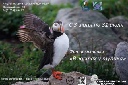 В гостях у тупика