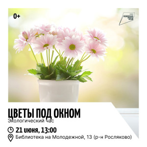 Цветы под окном