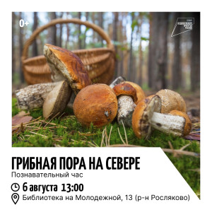 Грибная пора на Севере