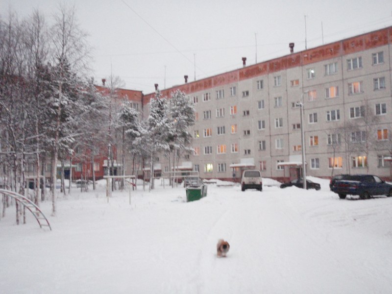 Фотографии организации