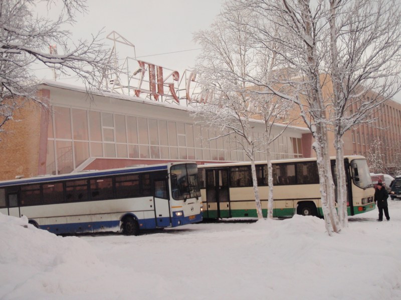 Дк апатиты сайт