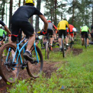 В Ковдорском муниципальном округе состоялись соревнования по трейлраннингу и велокроссу