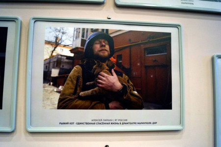 В Оленегорске открылась авторская фотовыставка «Глазами Донбасса»