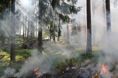 Повышенный класс пожароопасности ожидается в Ловозерском районе