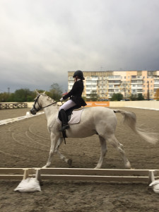 В Коле прошло первенство Мурманской области по конному спорту
