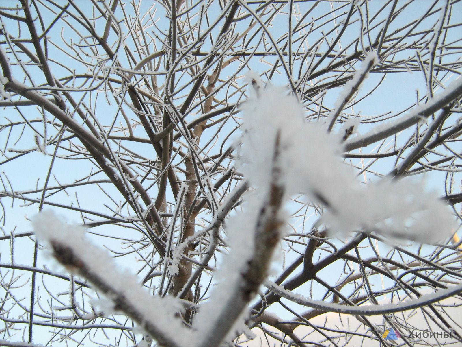 Снега и дожди: синоптики рассказали о погоде в Мурманске до конца недели