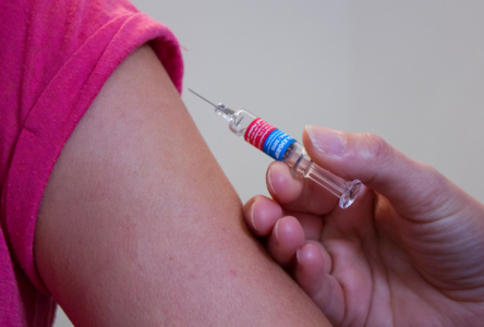 Безопасная вакцинация: Есть у ли у вас аллергия на вакцину — как привиться и не умереть, рассказала иммунолог Мухина