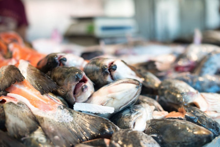 Заполярным компаниям по производству рыбы разрешили продавать продукцию за рубеж