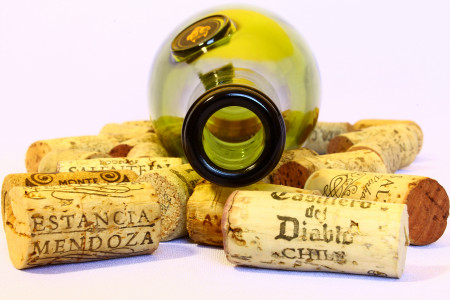 «Знали толк»: археологи рассказали, какое вино обожали древние римляне — аромат не сравнится ни с чем