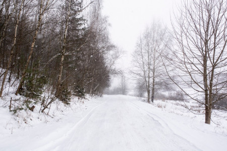 Жителям Мурманской области пояснили, куда жаловаться, если снег не убирают — на 100% поможет