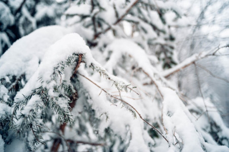 Северяне встречают февраль с сильным ветром и оттепелью — чего ждать от погоды до конца недели