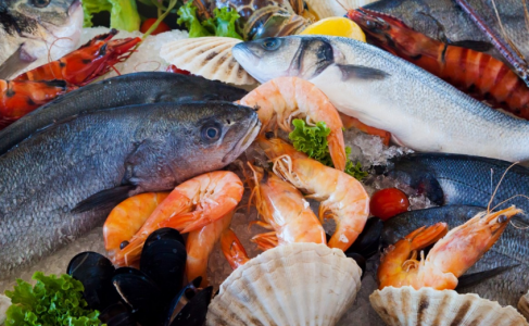 Откуда не ждали: Почему полезные морепродукты причислили к самым опасным — вот чем они напичканы, выявили учёные Халлского университета