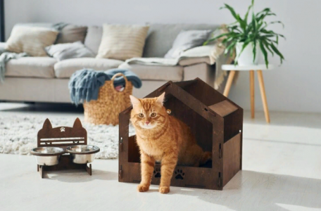 Ваш котик будет счастлив: как выбрать комфортабельный домик для питомца и на что обратить внимание при покупке