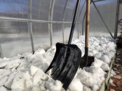 Урожай увеличится вдвое: в феврале засыпьте теплицу снегом — соседи съедят галоши от зависти