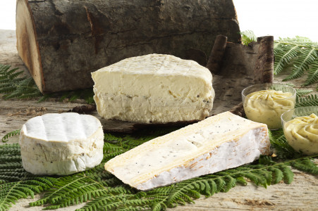 Французы будут кусать локти: вкуснейший козий сыр готовим всего за час