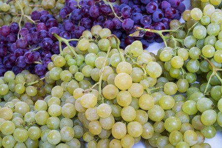 «Особенно важно для пожилых»: врач Малышева рассказала, какой виноград улучшает зрение — сколько ягод нужно съедать каждый день
