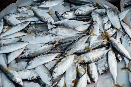 Мурманчане останутся без охлажденной рыбы 24 февраля — «спасибо» шторму