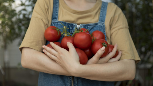 Урожая будет на 70% больше: сделайте такую подкормку для томатов — крепкий иммунитет и обильное плодоношение обеспечены