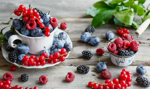 «Продукт молодости»: Добавление этой ягоды в рацион защитит мозг от деменции и остановит старение — совет эндокринолога