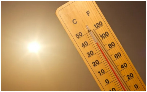 Экстремальная аномалия: 2024 год может стать самым жарким за всю историю метеонаблюдений — предупредили климатологи