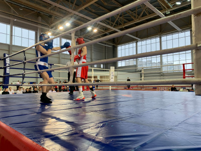 Золотые медалисты: результаты чемпионата Мурманской области по боксу
