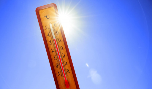 Ученые предупредили об адской жаре в 2024 году: 3 региона столкнутся с рекордными температурами
