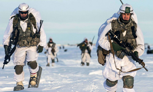 На кону вся Арктика: США хотят восстановить свои военные возможности на Севере, но есть одно обстоятельство — главная мышца атрофировалась 20 лет назад