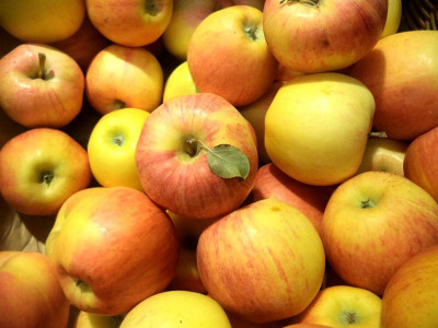 Яблоки с ароматом тропических фруктов: Умные дачники сажают только этот сорт — крупные и сочные
