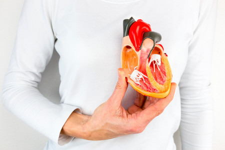 Не пускают холестерин в кровоток и защищают сердце: доктор назвал 3 овоща-панацеи — дорогу к врачам забудете