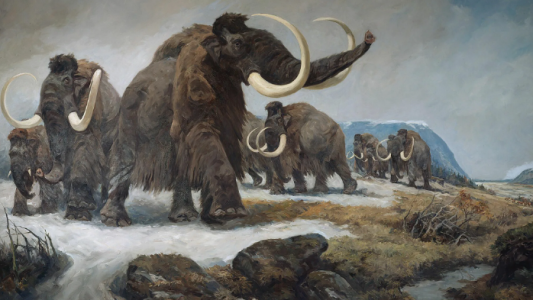 Когда на Ямале жил последний мамонт — находка археологов обескуражила