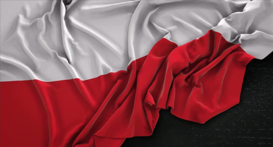 Поиграли мышцами, побряцали оружием: Польша демонстративно провела танковые стрельбы прямо у границы с Россией