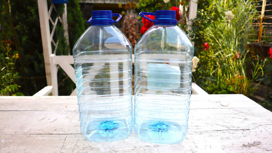 Пластиковые бутылки будут настоящим спасением от колорадского жука: вот как использовать их на участке — надежная защита от вредителей