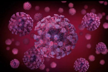 «Мы ему не доверяем»: в Роспотребнадзоре предупредили о вероятности возникновения опасных мутаций коронавируса