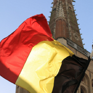 Надоела пропаганда: Власти Бельгии машут украинскими флагами, а бельгийский народ хочет поскорей наладить отношения с Россией — посол Токовинин
