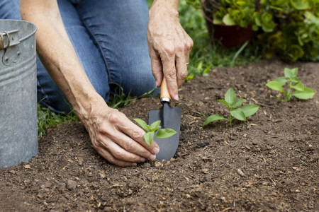 Чистейшие руки без перчаток: вот о каком лайфхаке должны знать садоводы — даже под ногтями ничего не останется