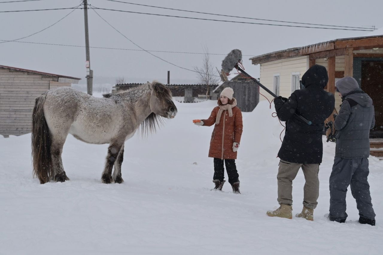 Начались съемки короткометражного фильма «Лошадка в сугробе» в Мурманской области: история молодой учительницы на севере