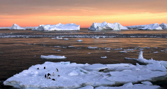 «Хранилище Судного дня» оказалось под угрозой из-за глобального потепления: научный мир вздрогнул