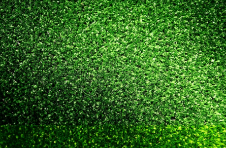 Газон будете косить 1 раз за сезон: Вот с чем засеивают траву мудрые дачники — самый мягкий зелёный ковёр без хлопот