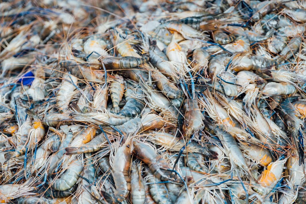 Мурманская область экспортировала 38 тыс. тонн морепродуктов в Европу и Азию