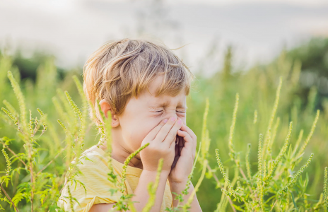 Сыпь из-за денег и людей: Названы 6 самых редких видов аллергии — обширный список симптомов