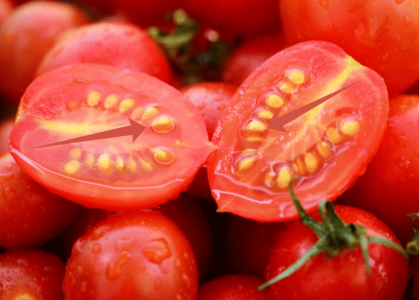 Хитрые дачники собирают семена самых вкусных помидоров так: Агроном Давыдова раскрыла все секреты — пошаговая инструкция