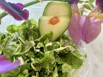 Без масла, майонеза и сметаны: Готовим необычный салат из пекинки за 3 минуты — вместо заправки используем тертую «аллигаторову грушу»