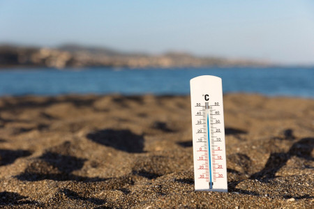 Задаст жару: россиян предупредили об изменчивой погоде летом 2024
