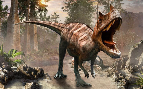«Изящные цератозавры»: Ученые в России описали новый вид динозавров-«бегунов» — найдены в Кузбассе