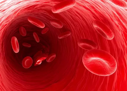 Разжижают кровь лучше любых лекарств: эти напитки снизят риск тромбообразования до минимума — настоящее спасение для организма