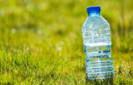 Поставьте у забора бутылки с водой — и забудьте о глобальной проблеме: польза для огорода огромна — и дело не в поливе