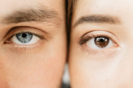 «О чём говорит цвет глаз?»: стало известно об отличиях в зрении кареглазых и голубоглазых людей — мнение учёных